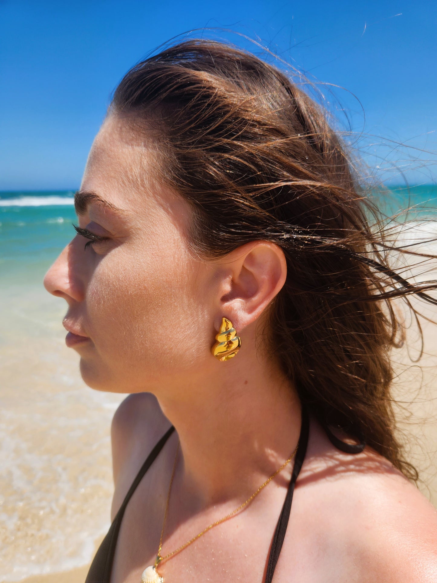 Conch Shell Earrings